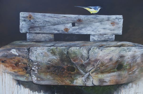 Grey Wagtail
