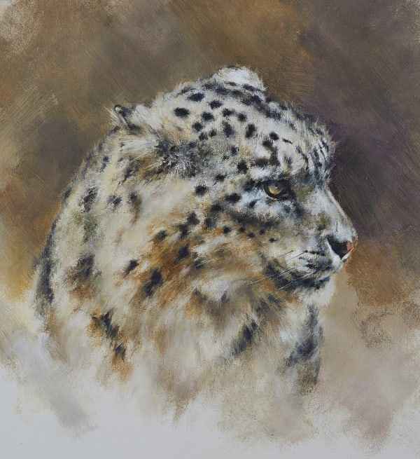 Mandy Shepherd, Snow Leopard