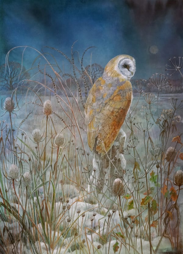 Emma Faull , Barn Owl