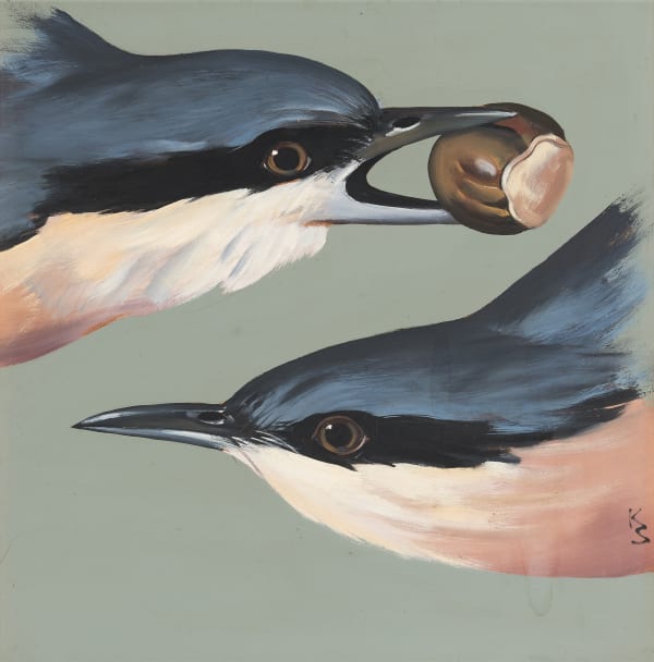 A pair of nuthatch