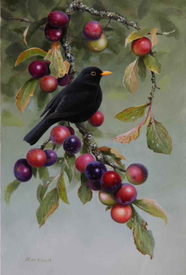 Rodger McPhail , Blackbird and Plums