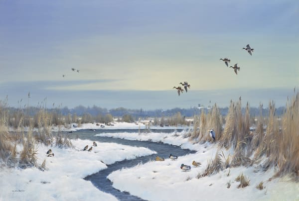 Winter Wildfowl Upton, Norfolk