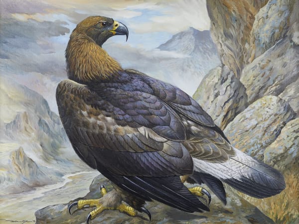 Basil Ede , Golden Eagle