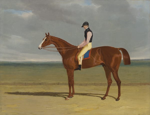 The Hon. Edward Petre's chestnut colt 'The Colonel' with William Scott up, 1828, 1828