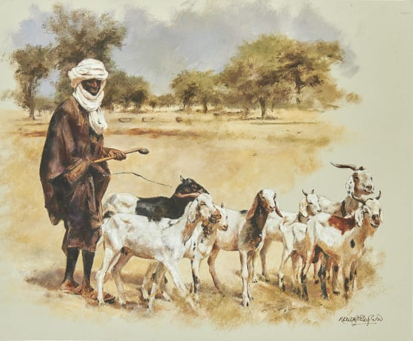 Goat herder, Kenya