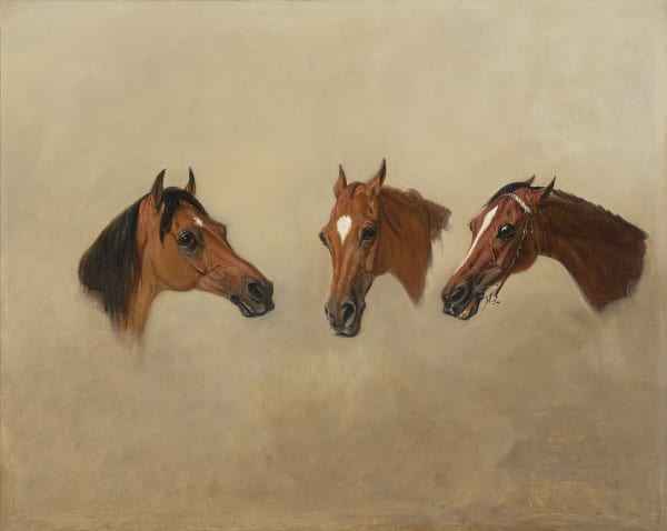 Captain Ricardo's horses in three vignettes