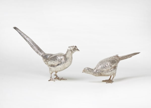 A pair of silver pheasants
