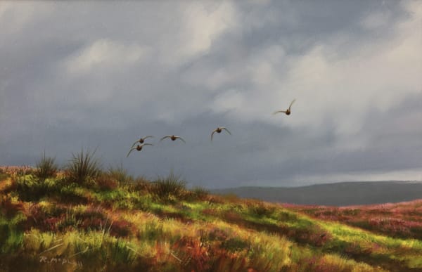 Rodger McPhail , Approaching grouse