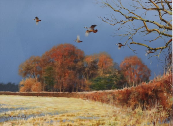Rodger McPhail , Redlegs over a hedge