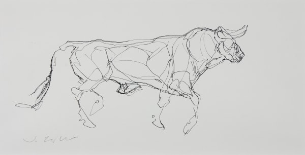 Sketch of a bull