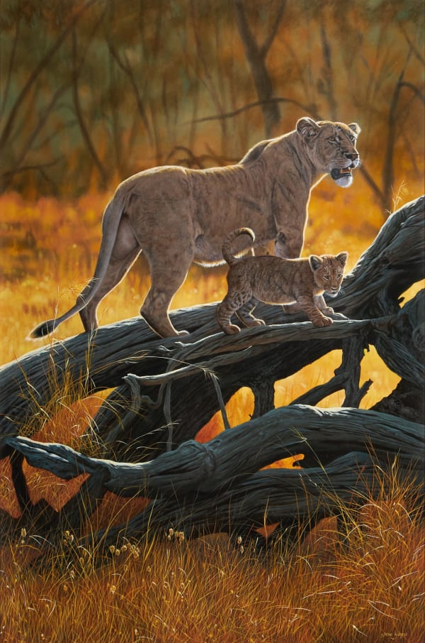 Sundowners, 2013