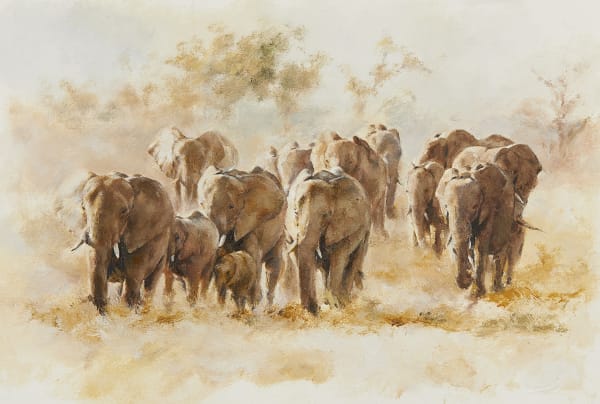 Mandy Shepherd, Elephants