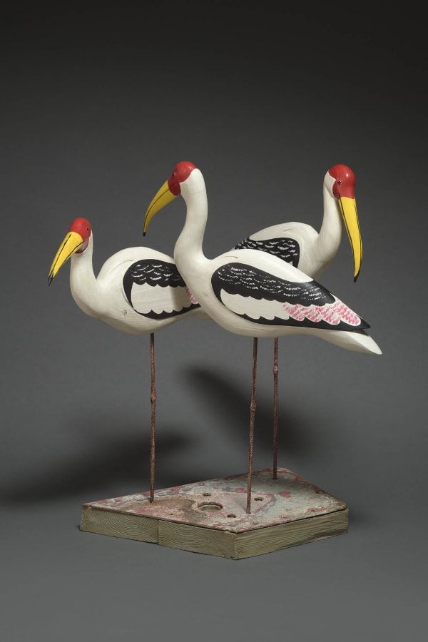 Painted Storks
