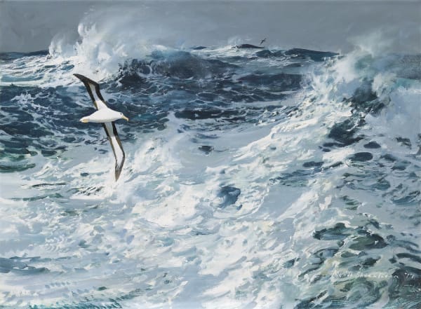 Rough seas with albatross in flight