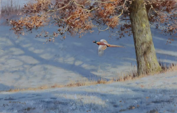Rodger McPhail , Frosty Pheasant