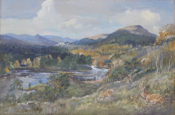Glen Affric, Knockfin