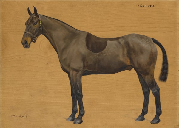 Florence Mabel Hollams , Goliath