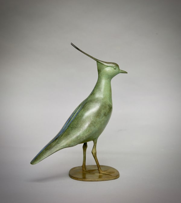 Lapwing