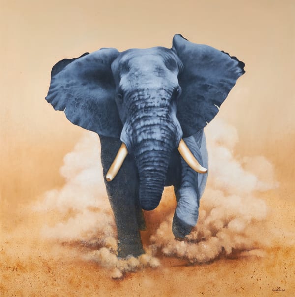 Chobe elephant
