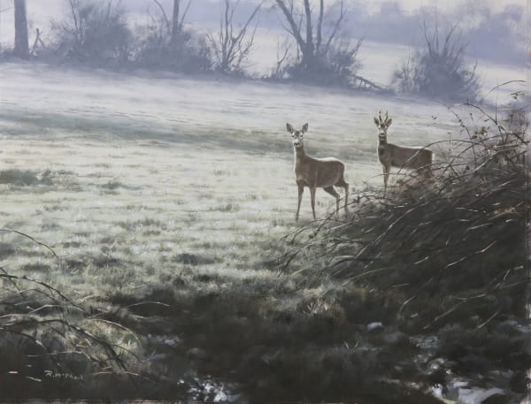 Rodger McPhail , Roe Deer