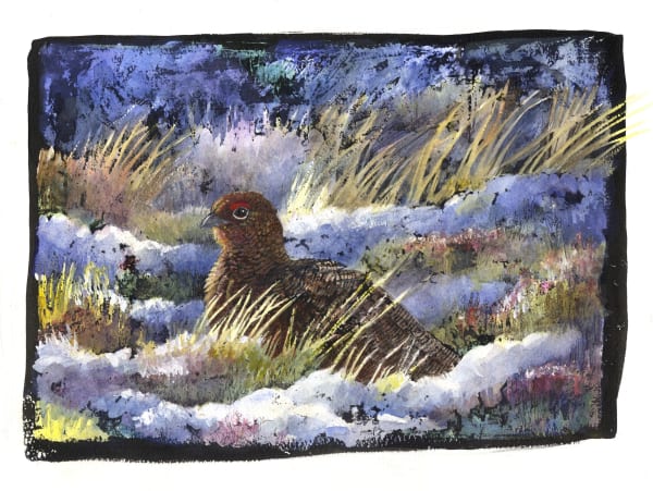 Emma Faull , Red Grouse