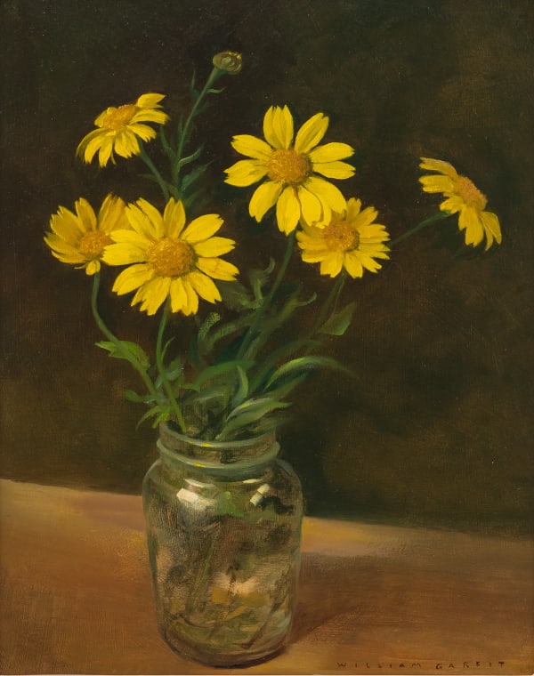 William Garfit , Corn marigold, Chrysanthemum segetum