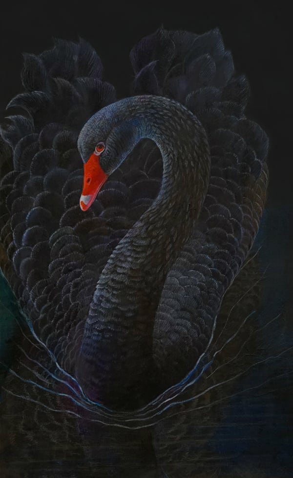 Emma Faull , Black Swan II