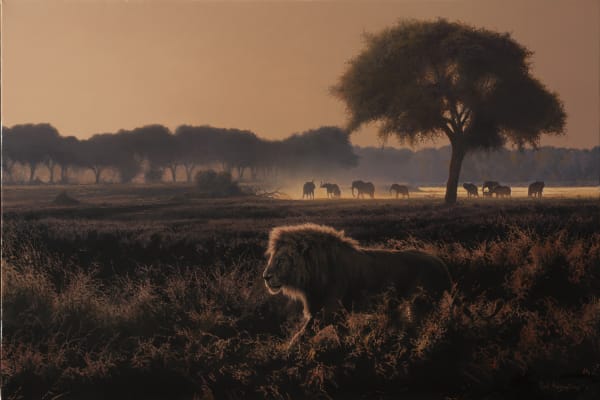 Refugia Series - Evening Shadows in the Zambezi Valley