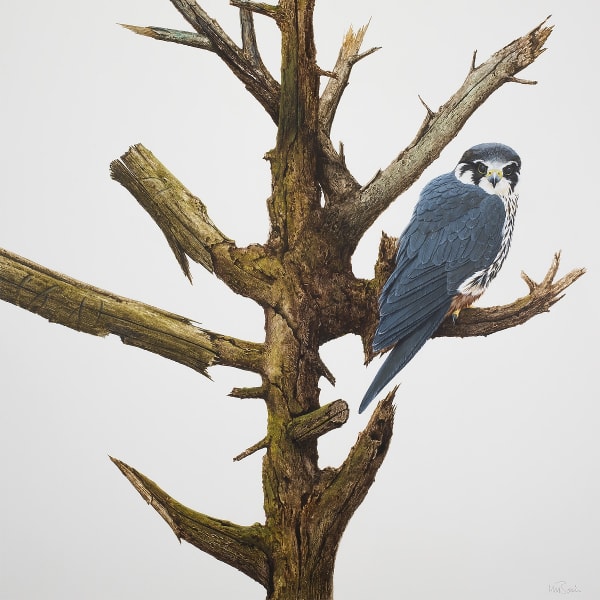Hobby
