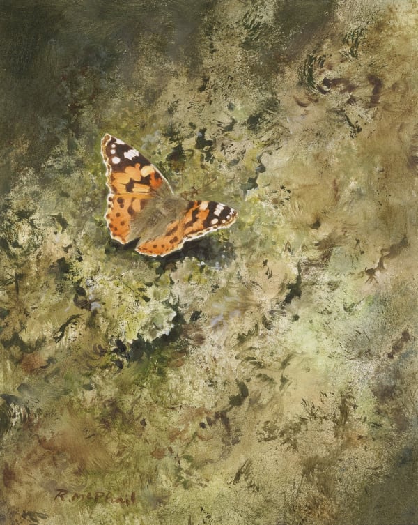 Rodger McPhail, Painted Lady