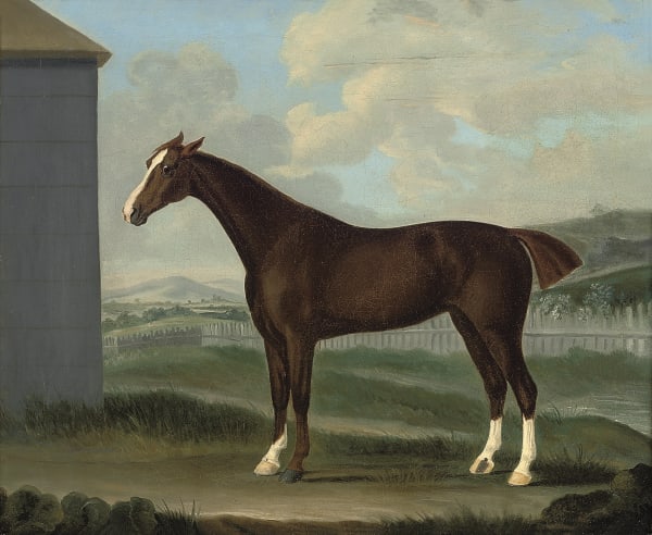 A chestnut horse in a landscape