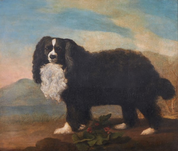 George Stubbs, ARA, A King Charles spaniel in a landscape