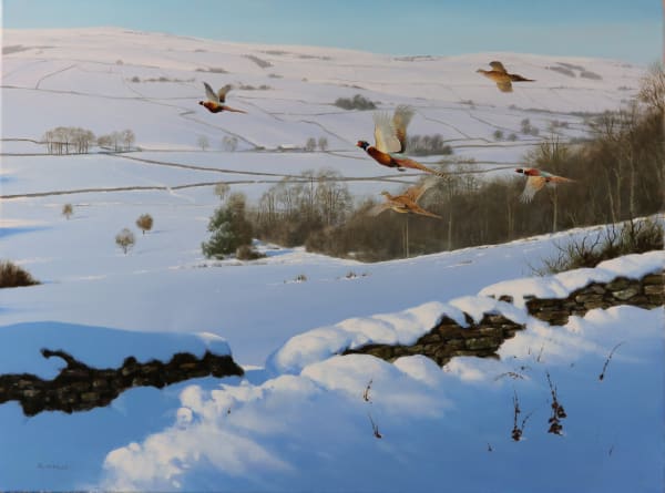 Rodger McPhail , Winter Pheasants