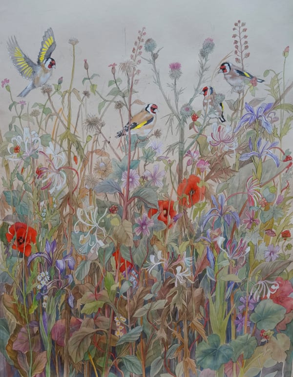 Emma Faull , Goldfinches with Honeysuckle