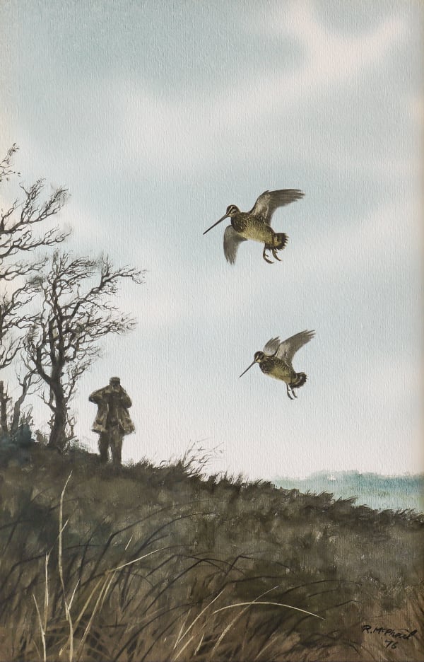 Snipe