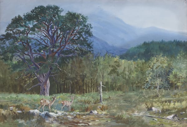 The Old Fir