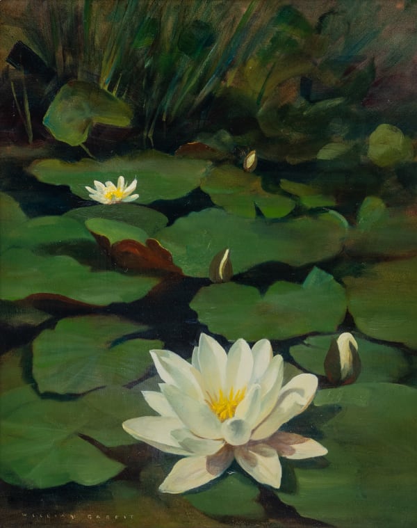 William Garfit , White water-lilies, Nymphaea alba