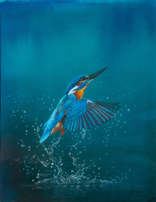 Winter Kingfisher