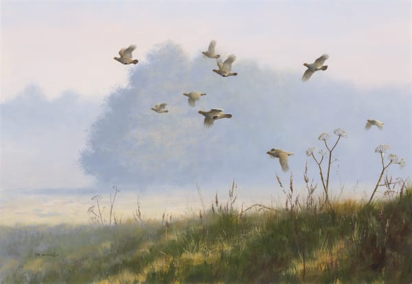 Rodger McPhail, Misty Partridges