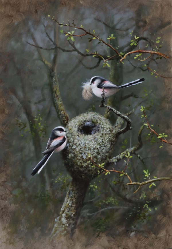 Rodger McPhail , Long-tailed tits