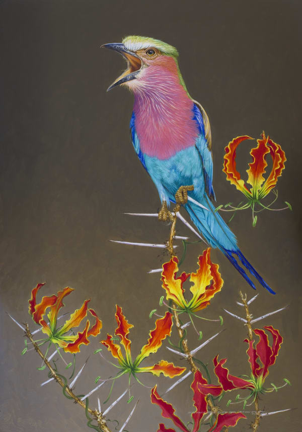 Lilac-brested Roller with Gloriosa rothschildiana