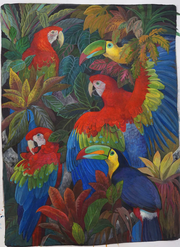 Macaws and Toucans