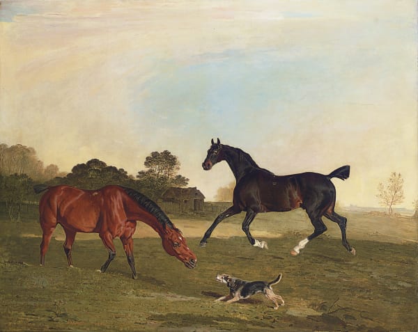 Hunters at grass