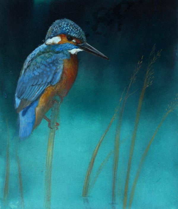 Emma Faull , Kingfisher