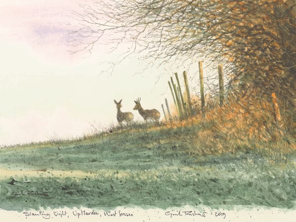 Slanting light, Up Marden