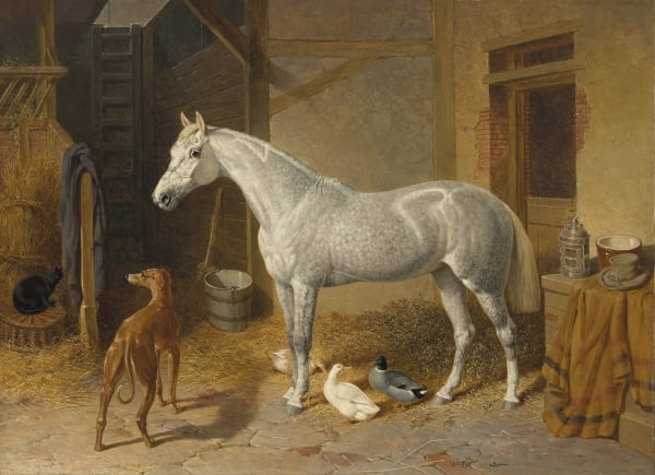 A dappled grey horse in a stable with a greyhound, ducks, and a cat, 1863