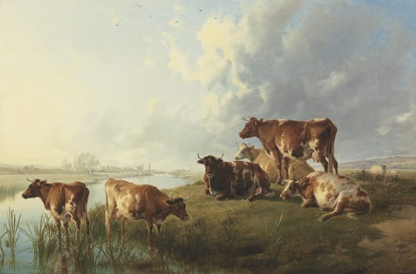 Cattle grazing by a river