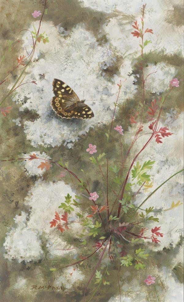 Rodger McPhail, Speckled Wood