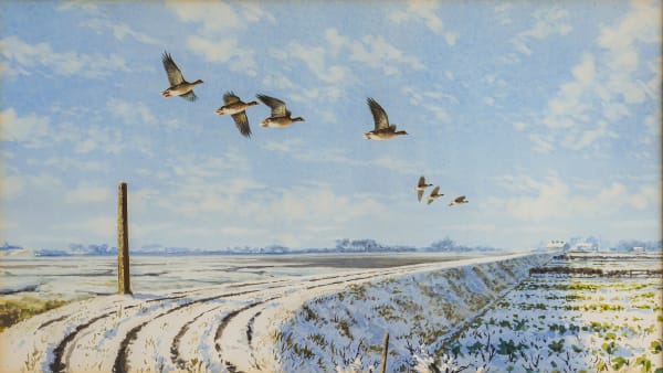 Geese in a Winter landscape