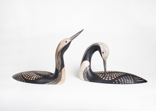 Pair of black throated divers